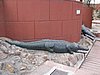 IMG_6232.JPG