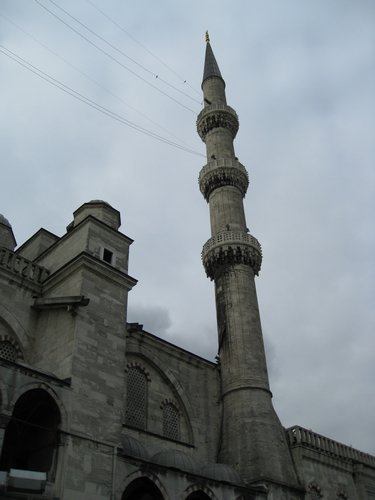 IMG_5725.JPG