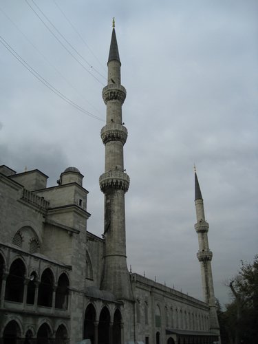 IMG_5726.JPG