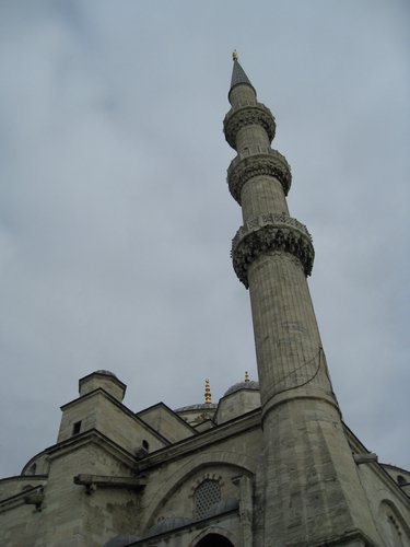 IMG_5739.JPG