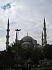 IMG_5743.JPG