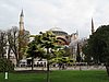 IMG_5747.JPG