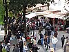 IMG_5764.JPG