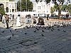 IMG_5771.JPG
