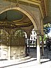 IMG_5821.JPG