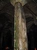 IMG_5828.JPG