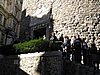 IMG_5850.JPG