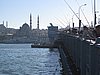 IMG_5868.JPG