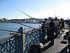 IMG_5870.JPG