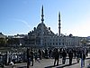 IMG_5876.JPG
