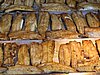 IMG_5877.JPG