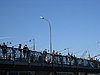 IMG_5878.JPG