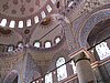 IMG_5888.JPG