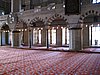 IMG_5890.JPG