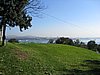 IMG_5908.JPG