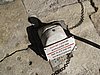 IMG_5911.JPG