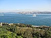 IMG_5919.JPG