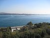 IMG_5920.JPG