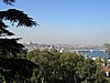 IMG_5931.JPG