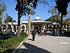 IMG_5968.JPG