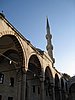IMG_5995.JPG