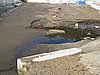 IMG_6023.JPG