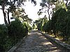 IMG_6024.JPG