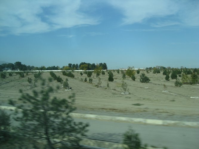 IMG_6037.JPG