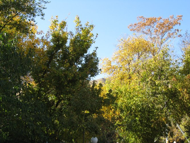 IMG_6473.JPG