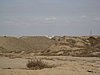IMG_6064.JPG