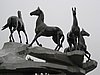 IMG_6121.JPG