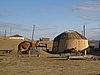 IMG_6263.JPG