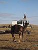 IMG_6269.JPG