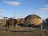 IMG_6272.JPG