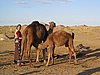 IMG_6278.JPG