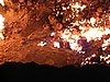 IMG_6333.JPG