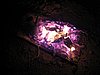 IMG_6341-0.JPG