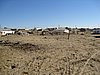 IMG_6377.JPG