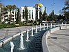 IMG_6386.JPG