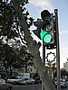 IMG_6422.JPG