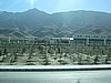 IMG_6467.JPG