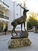 IMG_6468.JPG