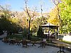IMG_6469.JPG