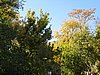 IMG_6473.JPG