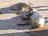 IMG_6538.JPG