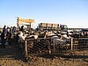 IMG_6540.JPG