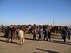 IMG_6547.JPG