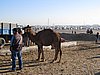IMG_6548.JPG