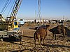 IMG_6553.JPG
