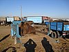IMG_6554.JPG
